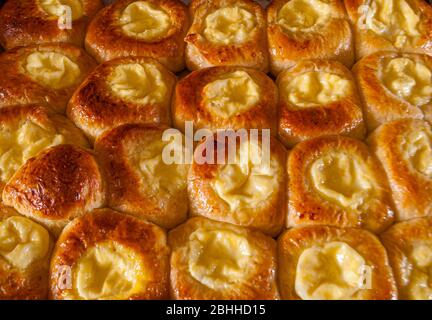 Buns with cottage cheese on a baking sheet. For backgrounds and wallpapers Stock Photo