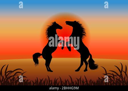 Romantic horse background - two stallions reared against the sunset Stock Vector