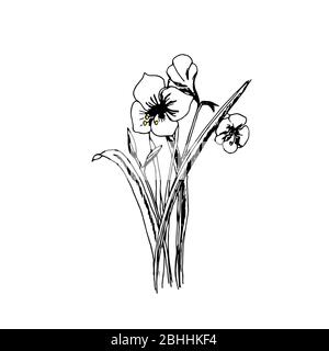 Monochrome wild flowers bouquet. Vector illustration doodle style. Artistic element for design. Stock Vector