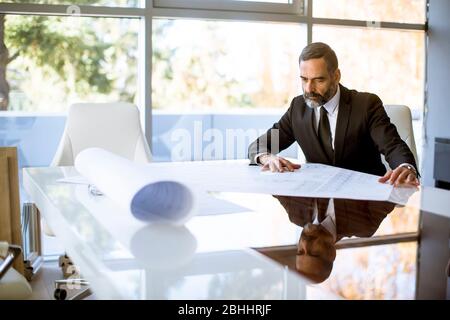 Handsome architect checking plans and blueprints in the office Stock Photo