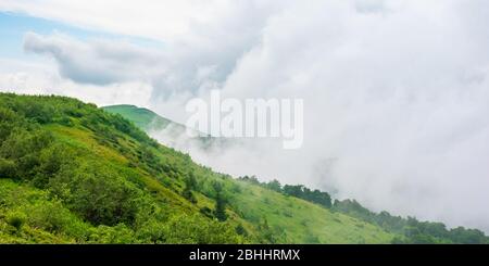 alpine meadows of mnt. runa, ukraine. beautiful nature scenery of carpathian mountains in summer. cloudy weather
