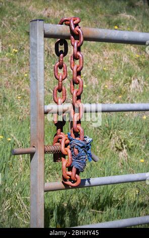 A rusty chain on an open metal gate, with blurred grass as a background Stock Photo