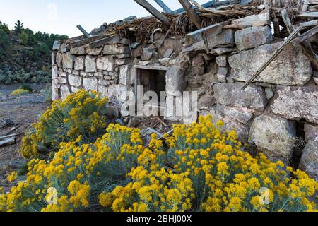 Ruin of a stone masonry building in the old silver and cinnabar mining ghost town of Ione, Nevada, USA [No property release; available for editorial l Stock Photo