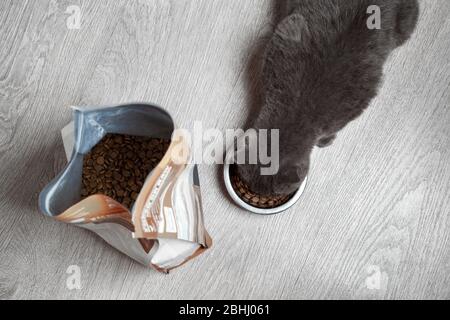 gray kitten eats dry food from a metal bowl, a pack of dry food on a gray floor. view from above Stock Photo
