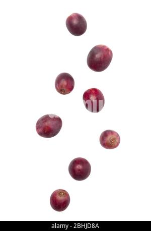 Falling red grapes isolated on white background with clipping path. Stock Photo