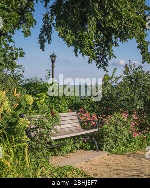 A wood park bench and old-fashioned street light surrounded by cone flowers and other plants with blue sky in the background create a romantic scene. Stock Photo