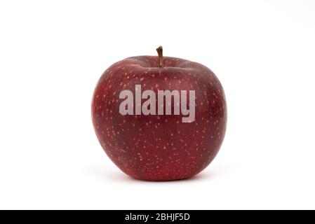 Single sweet red jonagold apple Stock Photo