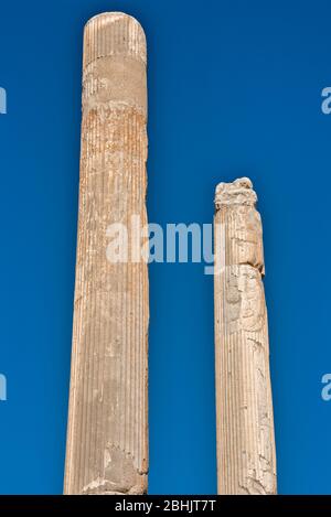 Detail of the columns in the Apadana Palace, Persepolis, Iran. Stock Photo