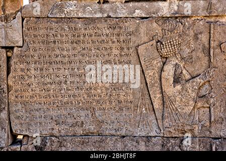 Bas-reliefs in the Tachara, Palace of Darius the Great, Persepolis, Iran Stock Photo