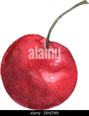 Red cherries isolated in watercolors on a white background. Bright sweet color. Sweet fruit. Vector Stock Vector