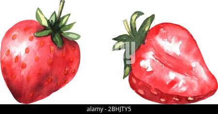 Red strawberries and a strawberry slice. Bright delicious color. Sweet fruit. Vector Stock Vector