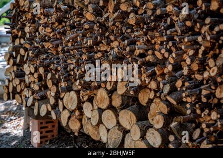 Rustic woodpile with ends of cut firewood logs of different sizes and shapes. Rough wooden surface of woods cross sections Stock Photo