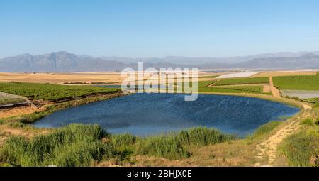 Riebeek Kasteel, Swartland, South Africa. 2019. Overview of the vineyards and wheat producing farms looking towards Gouda in the Swartland region. Stock Photo