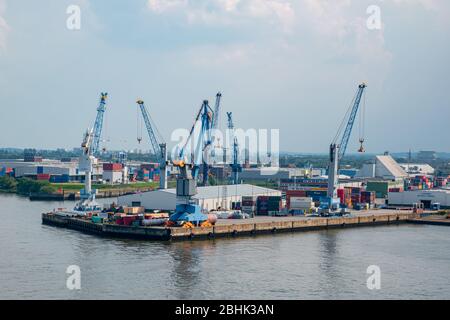 Large container cranes and TEUs at the  C. Steinweg (Südwest Terminal) GmbH & Co. KG terminal on the River Elbe in Hamburg Stock Photo