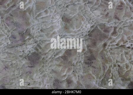 Mysterious, veined stone & mud surface covered with moss, viewed from above Stock Photo