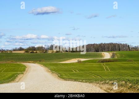 view of a winding scenic gravel road between the fields Stock Photo
