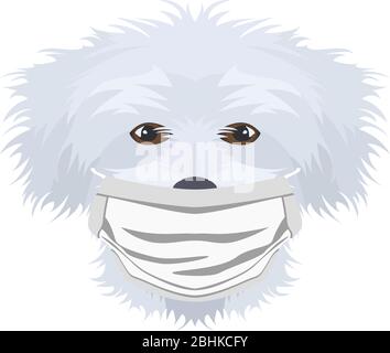 Illustration of a Maltese with a respirator. At this time of the pandemic, the design is a nice graphic for fans of dogs. Stock Vector