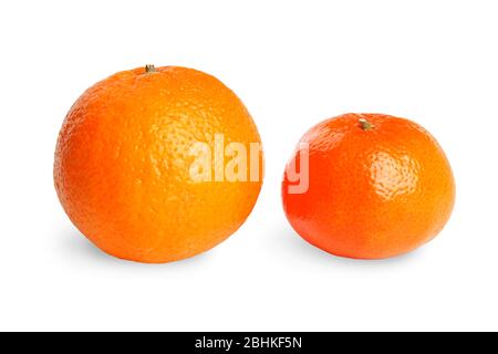 Orange and mandarin isolated on a white background Stock Photo
