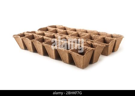 Peat forms for growing seedlings isolated on a white background Stock Photo