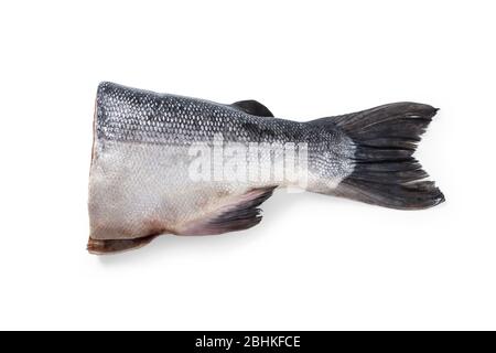 Salmon carcass tail closeup isolated on white Stock Photo
