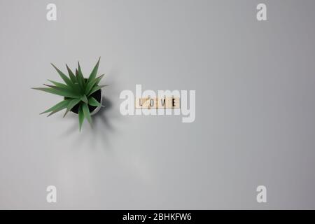 The word Love written in wooden letter tiles on a white background.  Concept valentines, romance, and wedding. Stock Photo