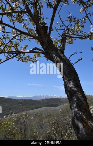 Stark landscape in central Italy. Santo Stefano di Sessanio. Abruzzo Stock Photo