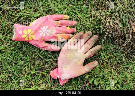 Dirty colored pink female garden gloves lie on the green grass. Stock Photo