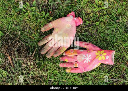 Dirty colored pink female garden gloves lie on the green grass. Stock Photo