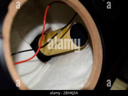 A low-frequency phaser inside the speaker system. We're taking apart the speaker. Stock Photo