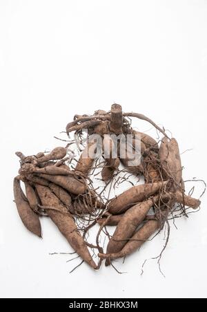 Dahlia tubers on a white background ready to be planted. Image with room for copy space.. Stock Photo