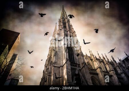 Pigeons flying over St. Patricks Cathedral in New York City with vintage grunge texture effect. Stock Photo