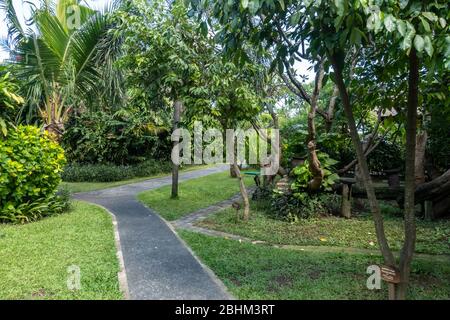 Paved pathway through the beautiful well manicured landscaped tropical gardens in Legian Bali Stock Photo