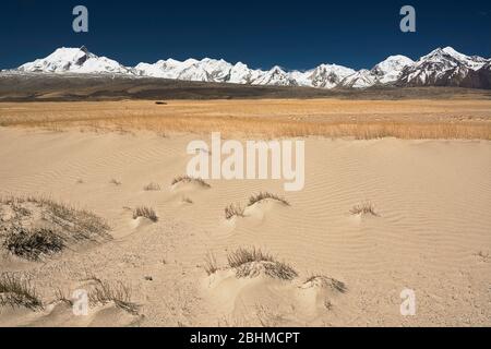 The sand dune fields between Lake Peiku and the Himalayas, Tibet Stock Photo