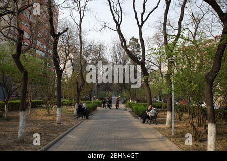 Park In Beijing China with many people walking around calm serene Stock Photo