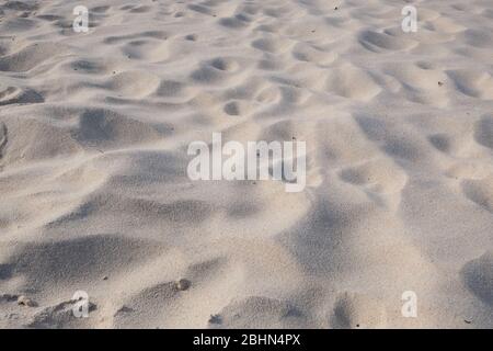 Section of sandy beach in closeup. Stock Photo