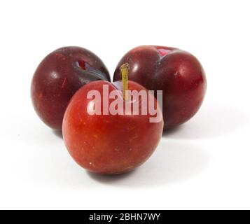 ripe purple cherry plums isolated on white Stock Photo