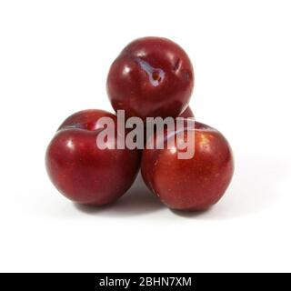 ripe purple cherry plums isolated on white Stock Photo