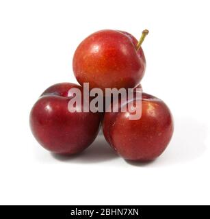 ripe purple cherry plums isolated on white Stock Photo