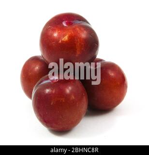 ripe purple cherry plums isolated on white Stock Photo