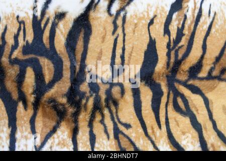 texture of tiger skin background Stock Photo