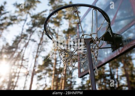 Walking stick on a basketball hoop, against the backdrop of nature.  Stock Photo