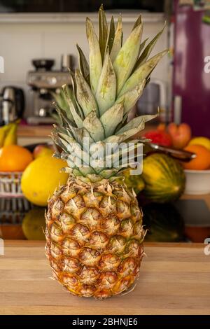 Close-up view of a whole fresh whole pineapple fruit on a cutting board in a domestic kitchen with other varieties of fruit in the background Stock Photo