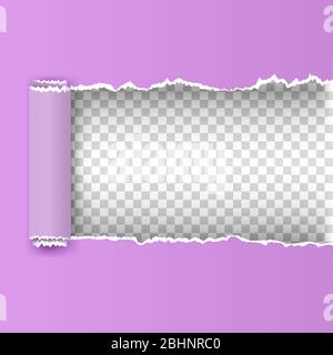 color vector torn paper with ripped edges and scroll. Paper frame for advertising and promo. Vector teared paper Stock Vector