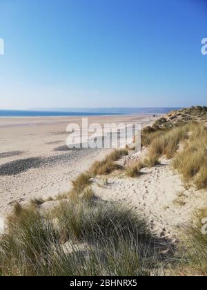 France, Normandy, sand dune with vegetation Stock Photo - Alamy