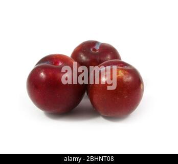 ripe purple cherry plums isolated on white Stock Photo
