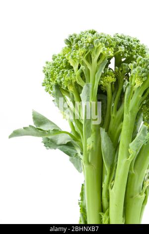 broccolini baby broccoli isolated on white Stock Photo
