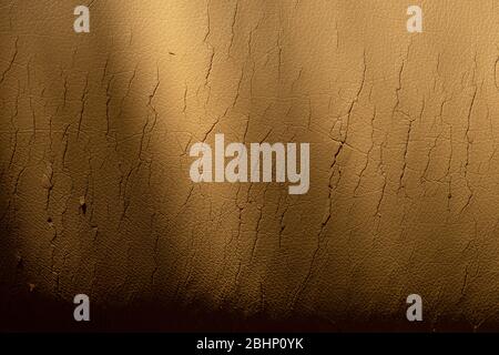 Cracked beige leather texture. Background in bad condition. Stock Photo