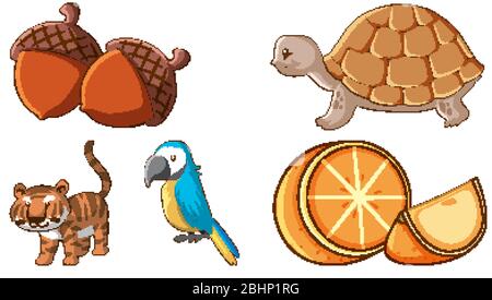Large set of different animals and other objects on white background ...