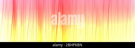 Rainbow colors abstract background for web design. Colorful spectrum gradient. Stock Photo