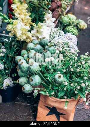 Beautiful fresh decorative giant poppy heads and other flowers in small florist shop. Modern style flowers arrangement in lifestyle natural light comp Stock Photo